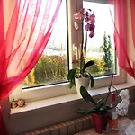 Orchidea Vendeghaz - Zebegény