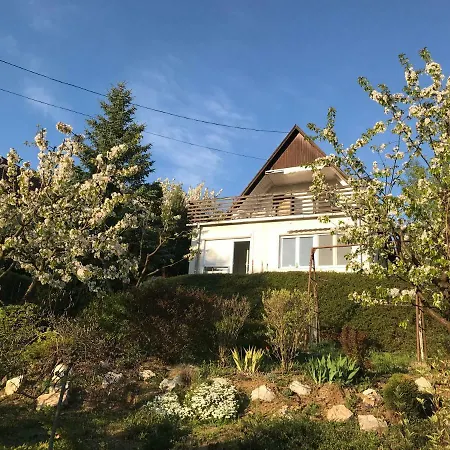 Orchidea Vendeghaz - * Zebegény