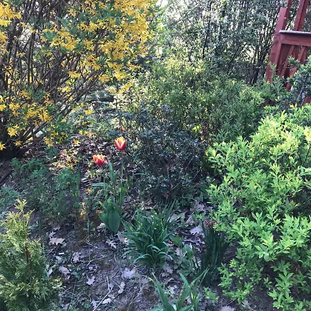 Case de vacanță Orchidea Vendeghaz - Zebegény