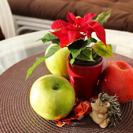Case de vacanță Orchidea Vendeghaz - Zebegény