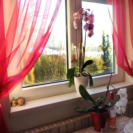 Orchidea Vendeghaz - Zebegeny