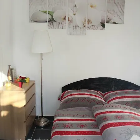 Orchidea Vendeghaz -