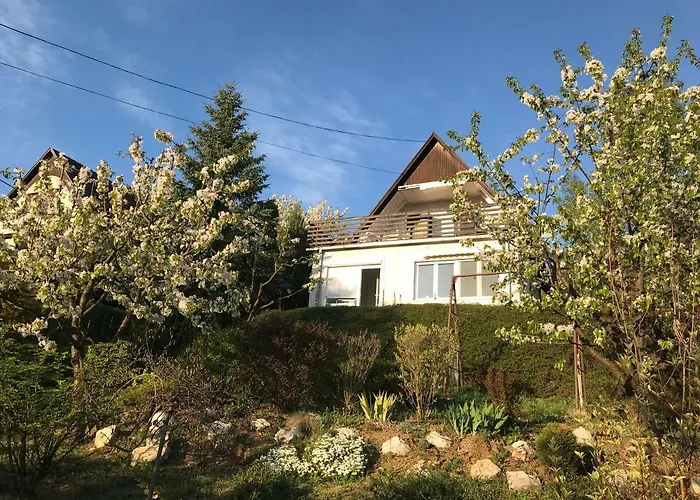 Orchidea Vendeghaz - * Zebegény