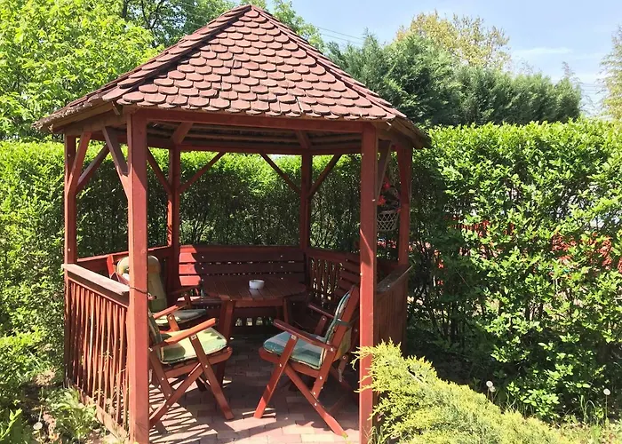 Orchidea Vendeghaz - * Zebegény