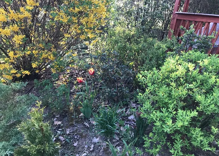 Feriehus Orchidea Vendeghaz - Zebegény