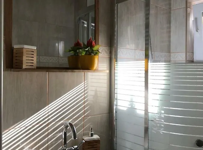 Orchidea Vendeghaz - Zebegény