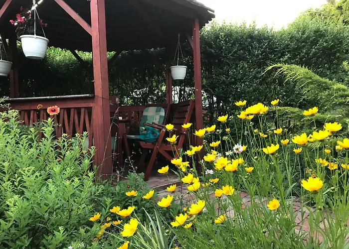 Feriehus Orchidea Vendeghaz - Zebegény