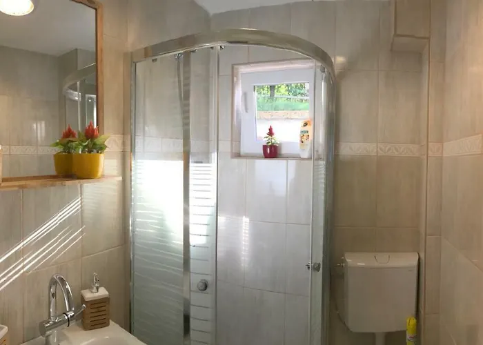 Orchidea Vendeghaz - * Zebegény