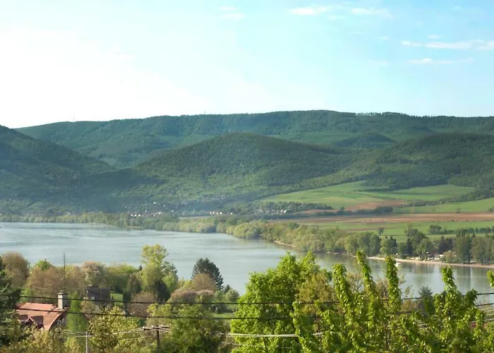 Orchidea Vendeghaz - *