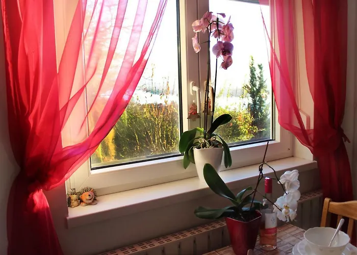 Orchidea Vendeghaz - Zebegény