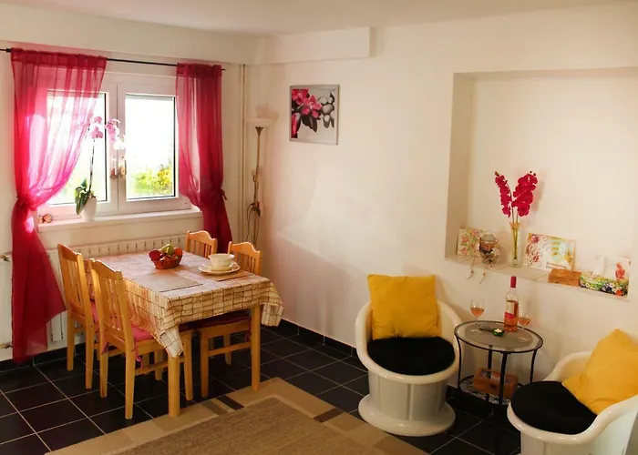 Orchidea Vendeghaz - Zebegény