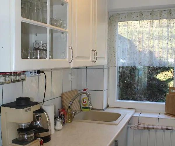 Orchidea Vendeghaz - * Zebegény