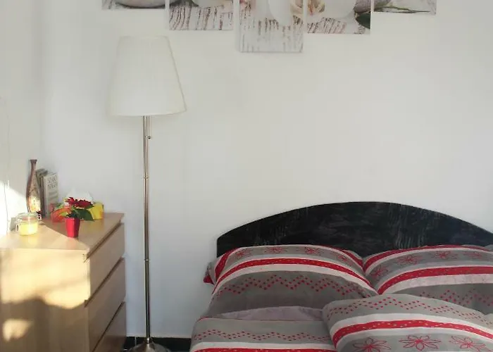 Orchidea Vendeghaz -