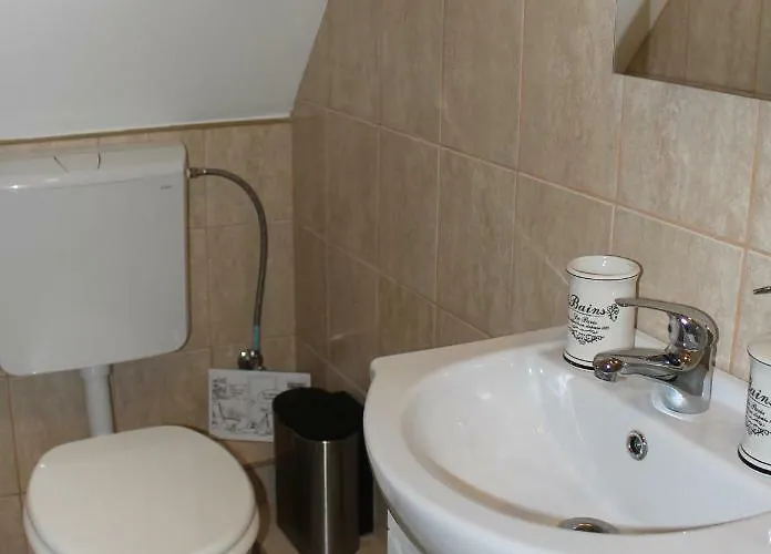 Orchidea Vendeghaz - * Zebegény