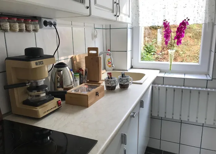 Orchidea Vendeghaz - Zebegény